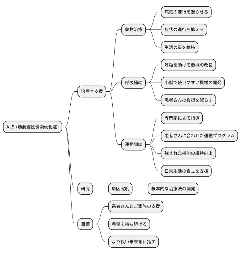 これからの展望