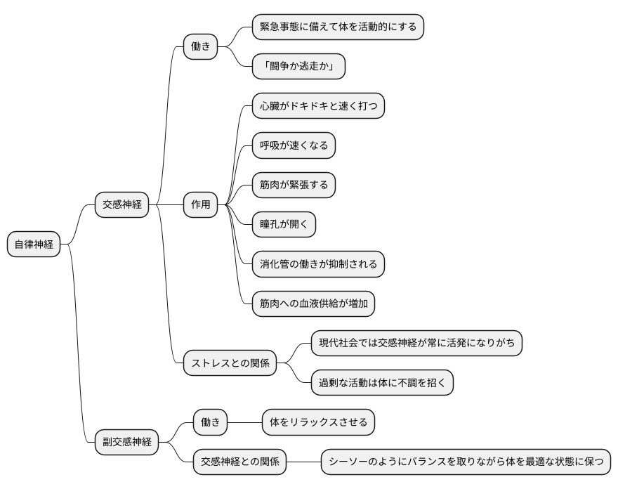 緊張の神経：交感神経とは