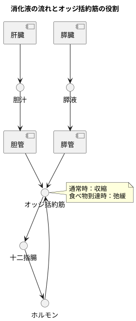 胆汁と膵液の流れを調整