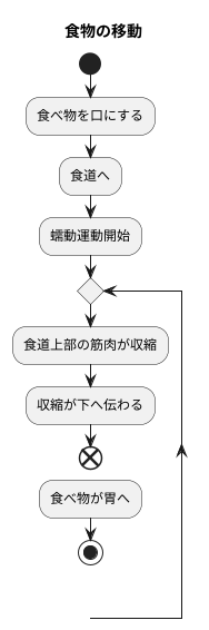 食道における蠕動運動